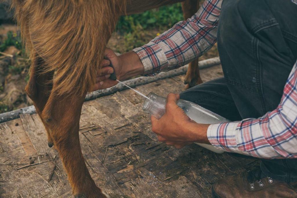 Natura-Eco Farm エクステリア 写真